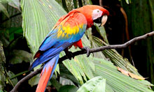 Ecuador Tierra Viva Foundation. Ecuador Volunteer. International Voluntary Organization. International volunteering. Volunteer organization. Community Development